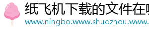 纸飞机下载的文件在哪